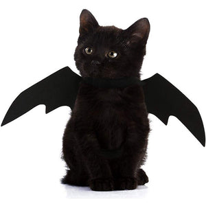 Unleash Halloween Fun with Our Pet Bat Wings Decoration!