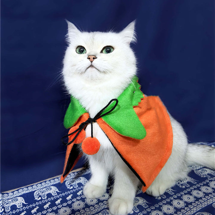f4b47069095704d884a6b06e240b2034