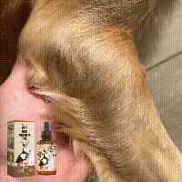 a427d8044a5c8922bb7329d339edb14d