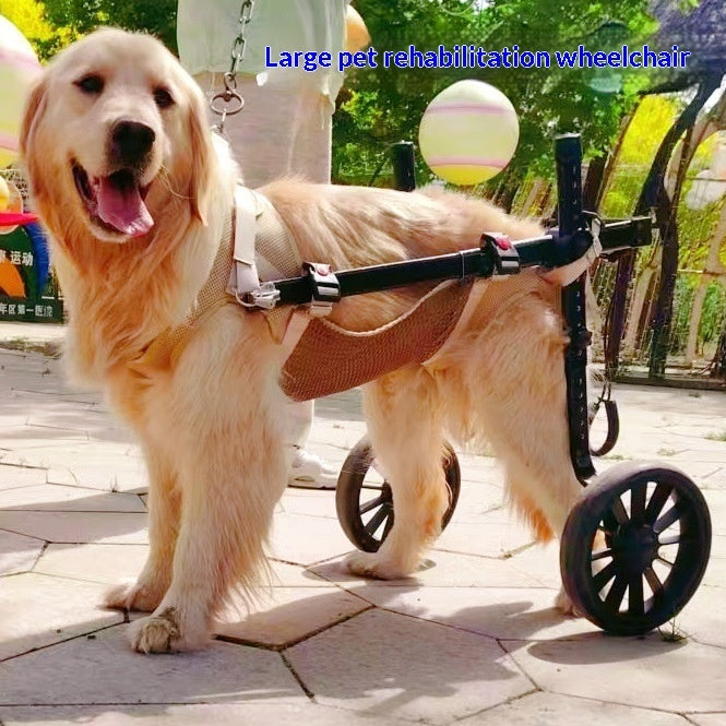 43b1de122543796437df3c9a184a5cf