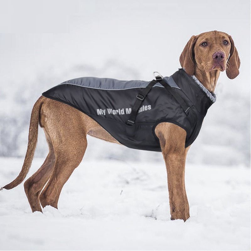 a4dd31204e8ca99af41a6886a29c1c75