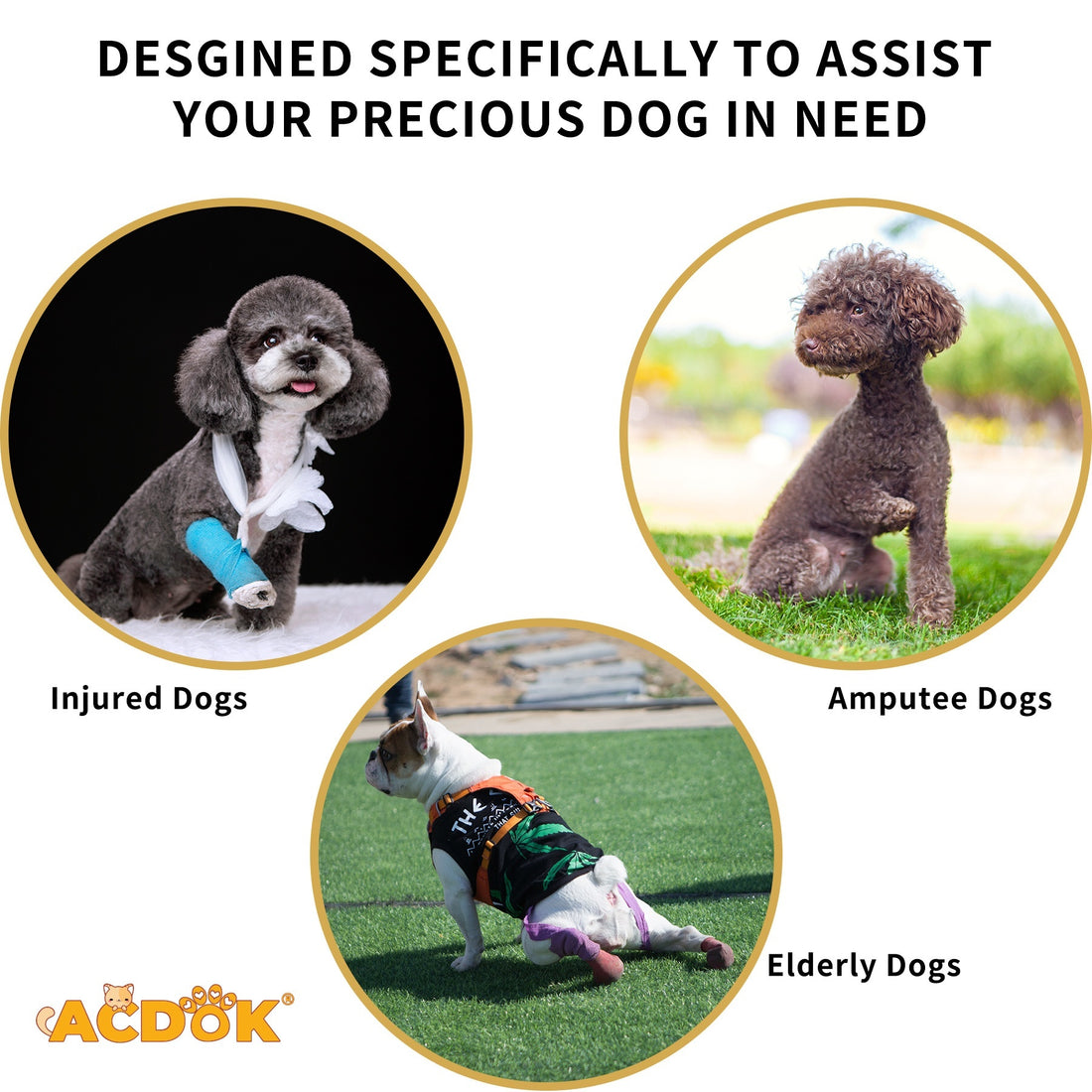 e6575ac45b5d0d6e35d189252de9911b