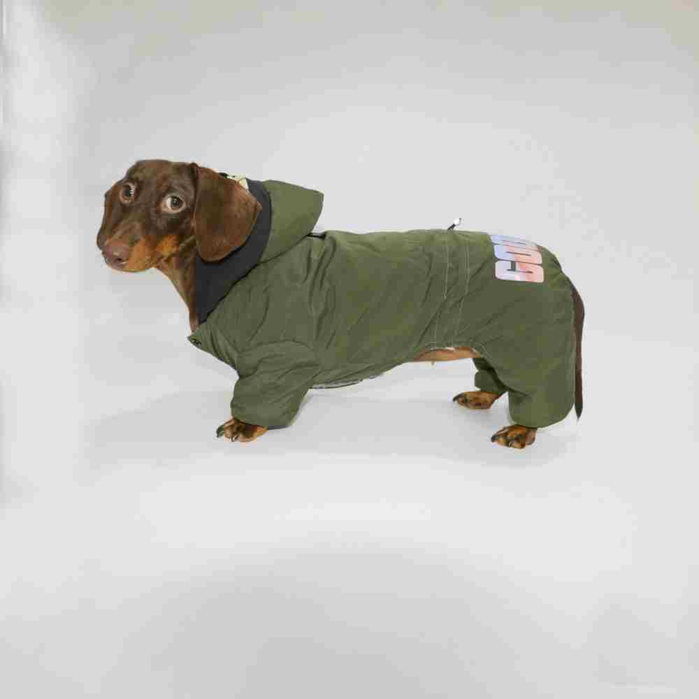 35fbb74cd150c81d614baba79d2b037d