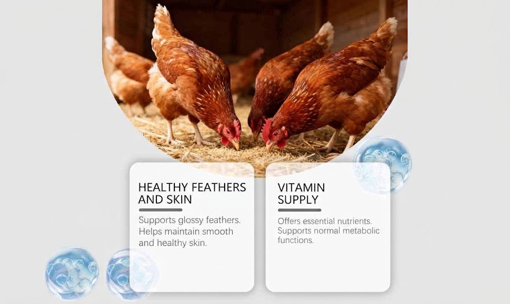 Vitamins for Poultry for Daily Health