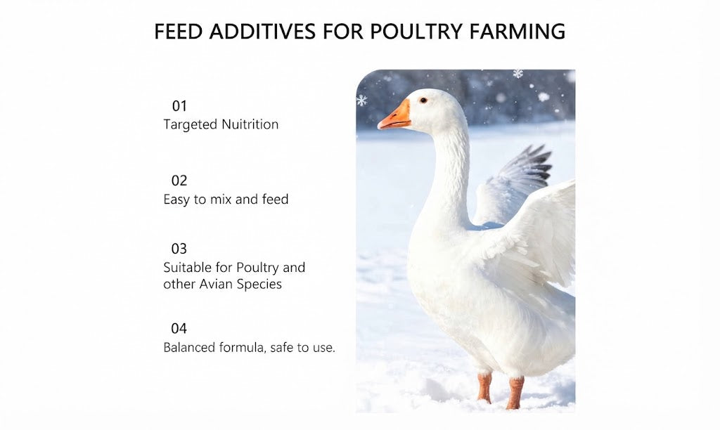 Vitamins for Poultry for Daily Health