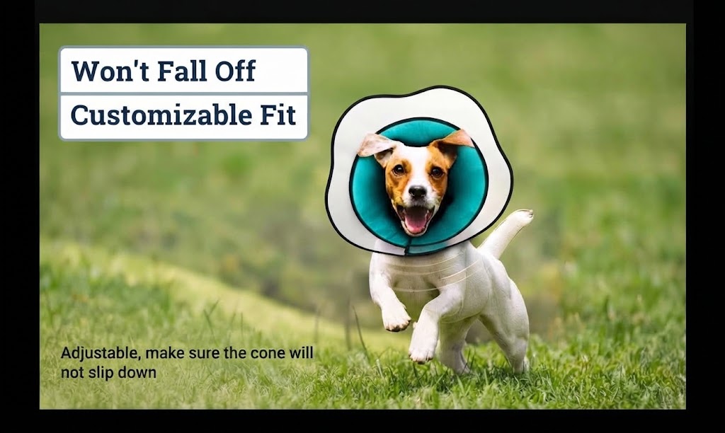 Adjustable Elizabethan Post-Operative Collar