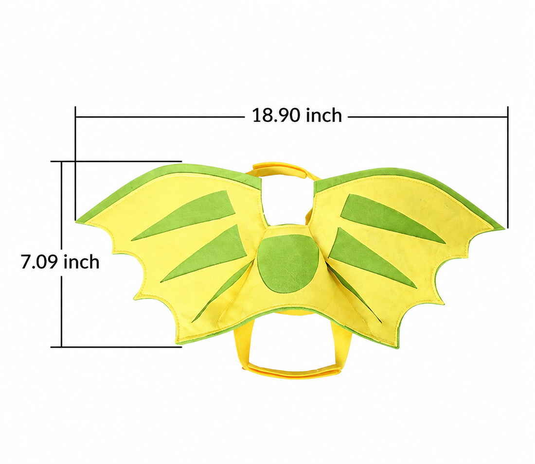 Halloween Pet Dinosaur Wings Makeover