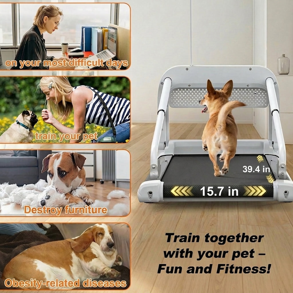 Smart Pet Treadmill Adjustable Speed Quiet Exercise Device