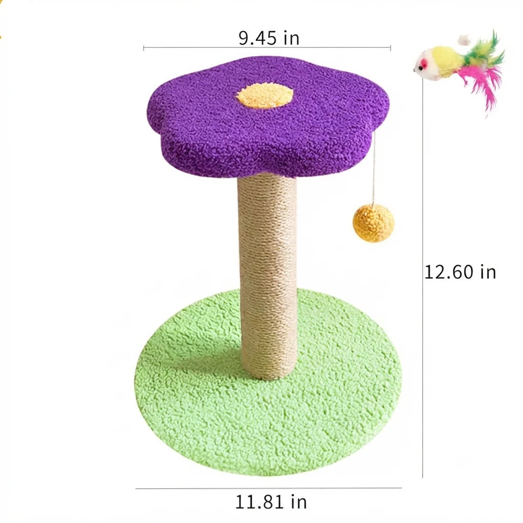 Pet Claw Grinding Teasing Interactive Toy