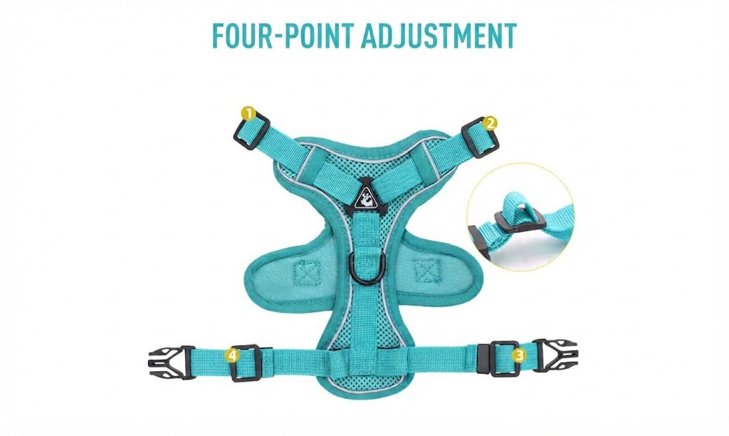 Reflective Pet Chest Harness and Leash