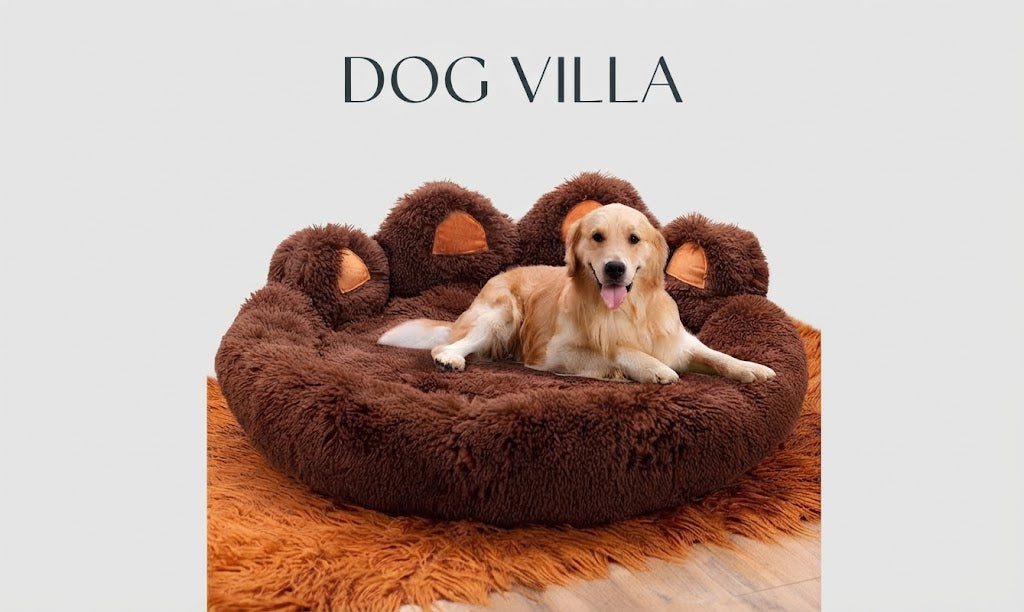 Thick Plush Pet Bed With Large Mat