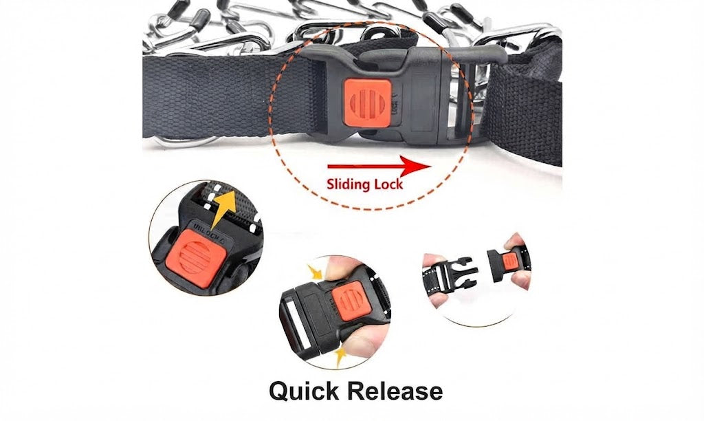 Training Prong Collar With Protective Cover