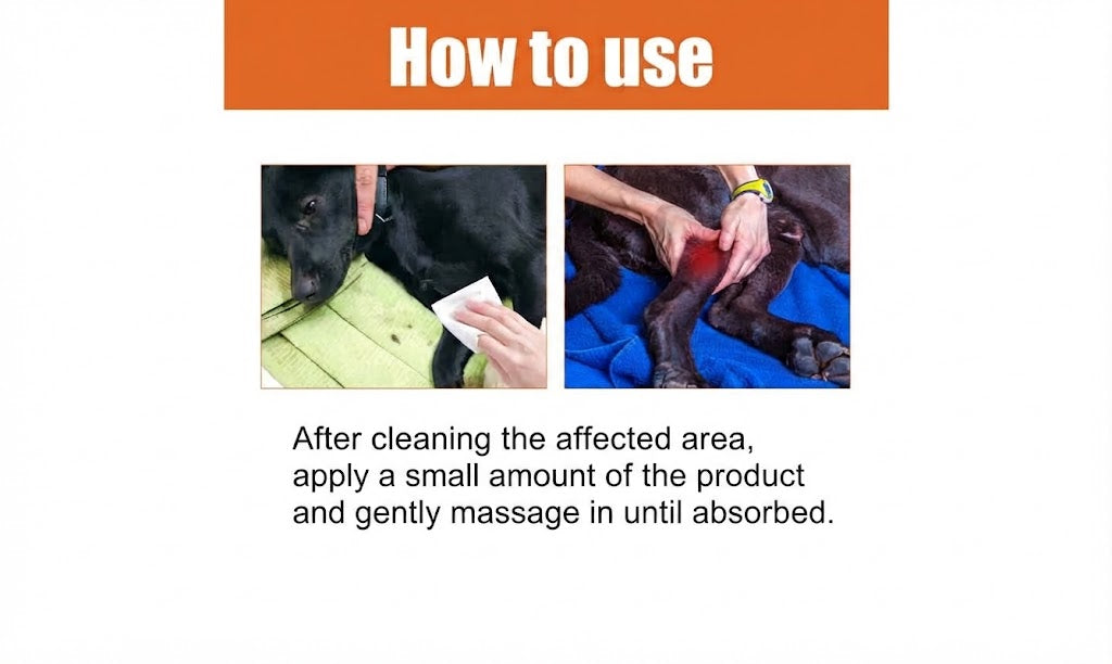 Bee Venom Liquid For Mobility Support