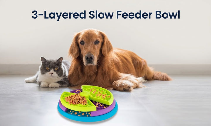 Interactive Slow Feeder/Puzzle Bowl