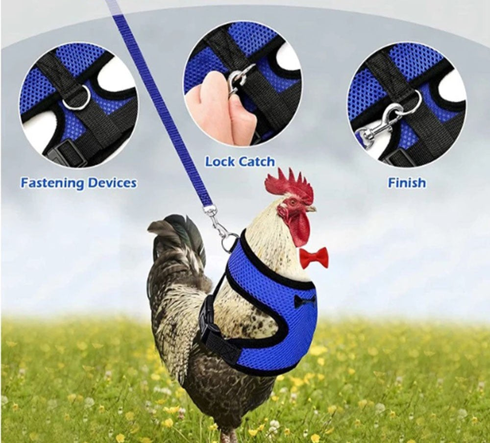 Adjustable Harness for Poultry