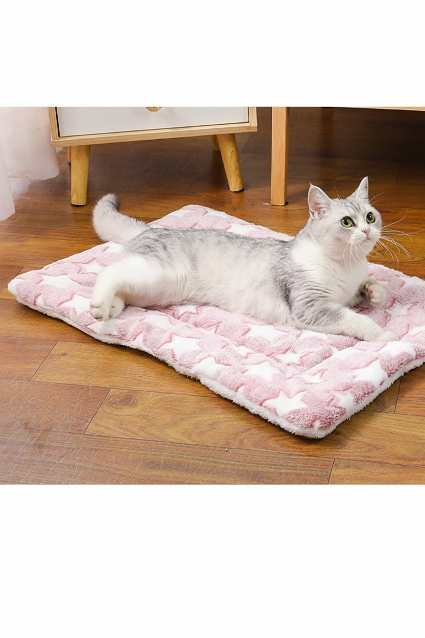 Duplicate cat and blanket photo with all text removed