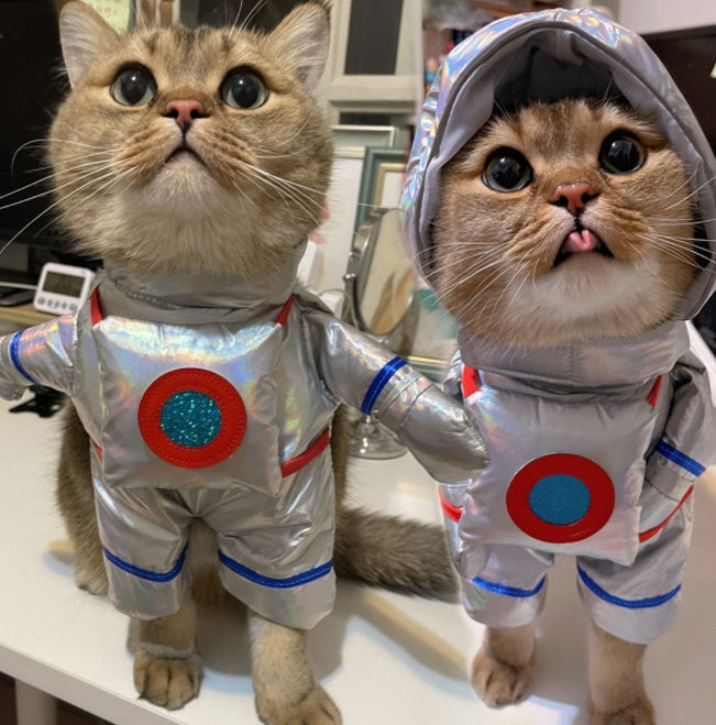 ce019e0cb4269ff45ce05a70106f130c