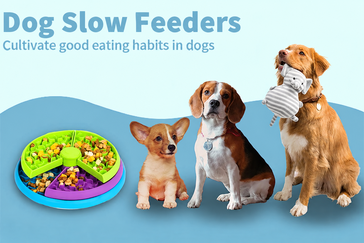 Edited Dog Slow Feeders banner