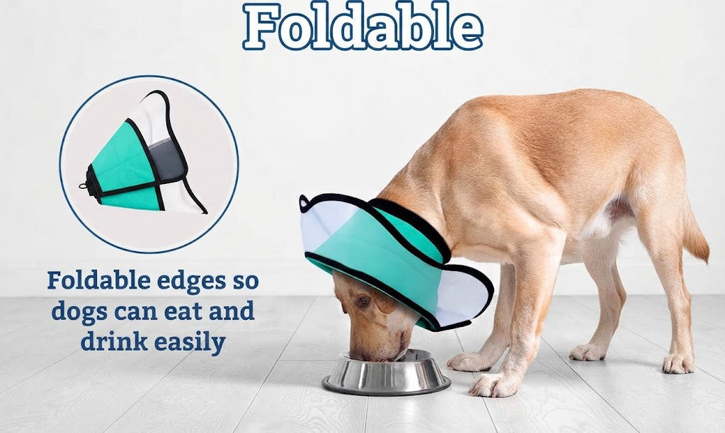 Adjustable Elizabethan Post-Operative Collar