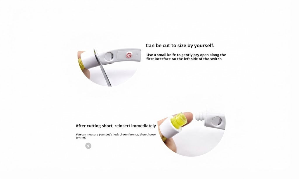 Luminous LED Pet Collar For Night Walking