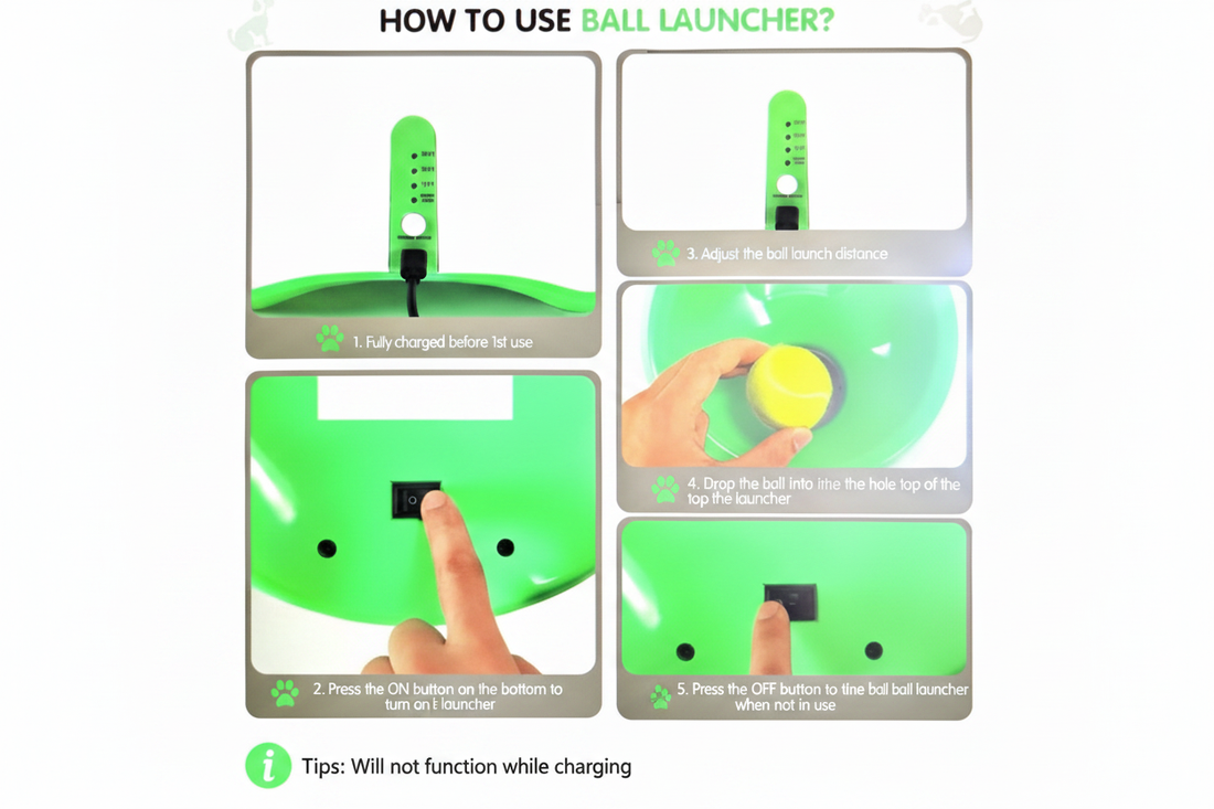 How to Use Ball Launcher