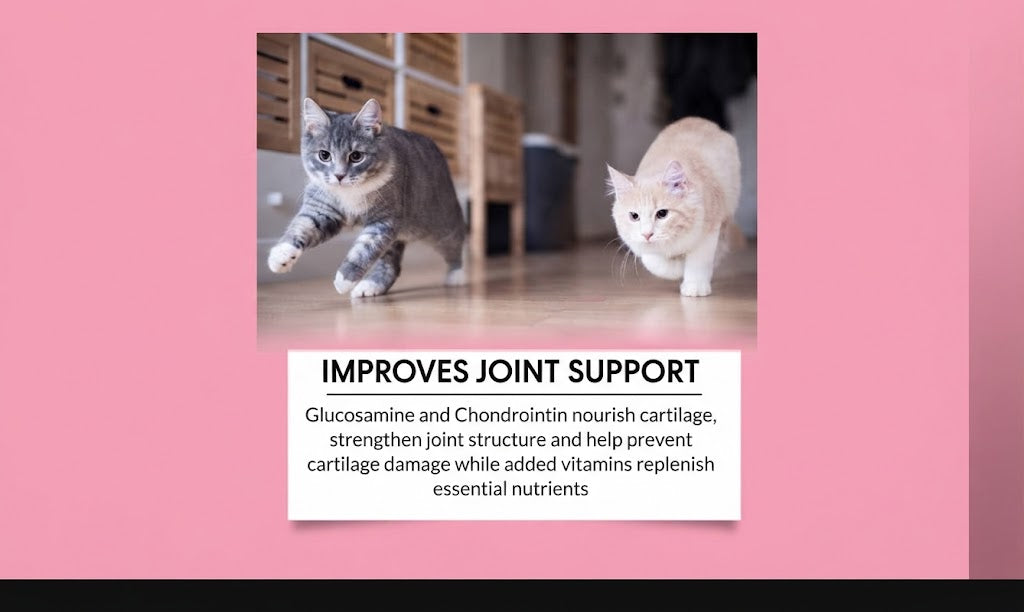 Glucosamine Chews for Cat Joint Health