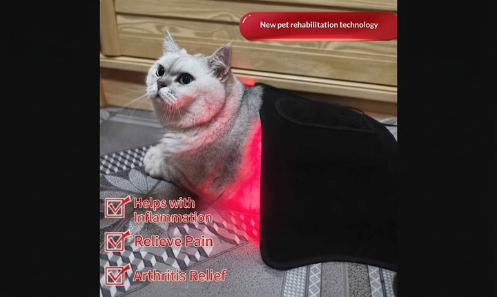 Red Light Therapy Blanket For Pain and Recovery