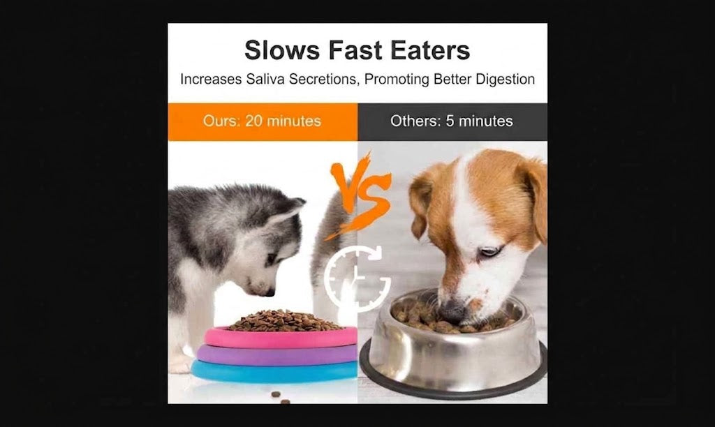 3 Level Interactive Slow Feeder Puzzle Bowl