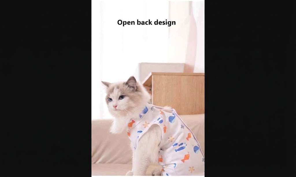 Cat Post-Surgery Recovery Clothing