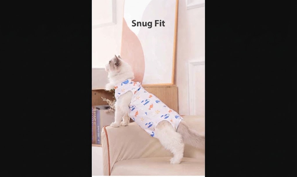 Cat Post-Surgery Recovery Clothing