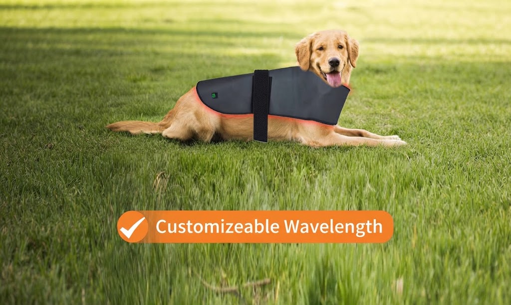 Pet Portable Red Light Therapy Device