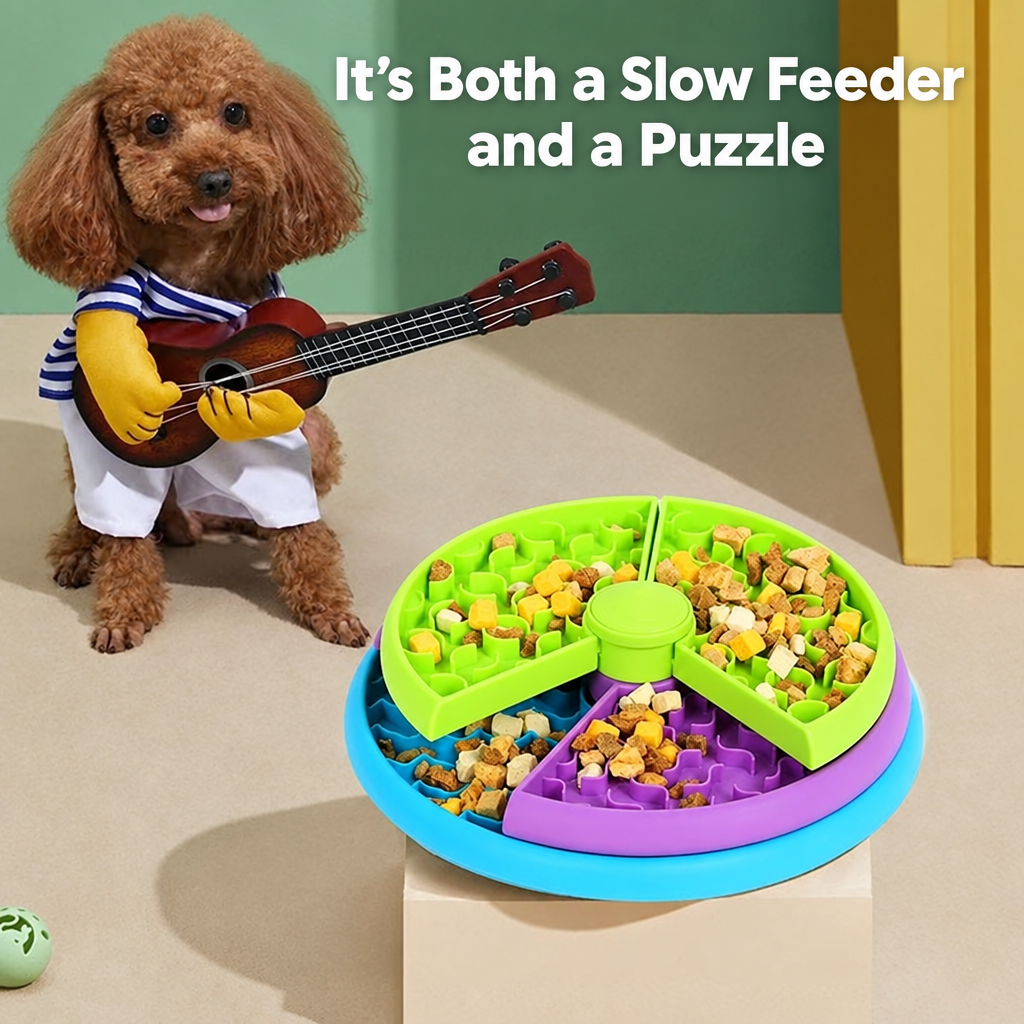 Slow feeder and puzzle image