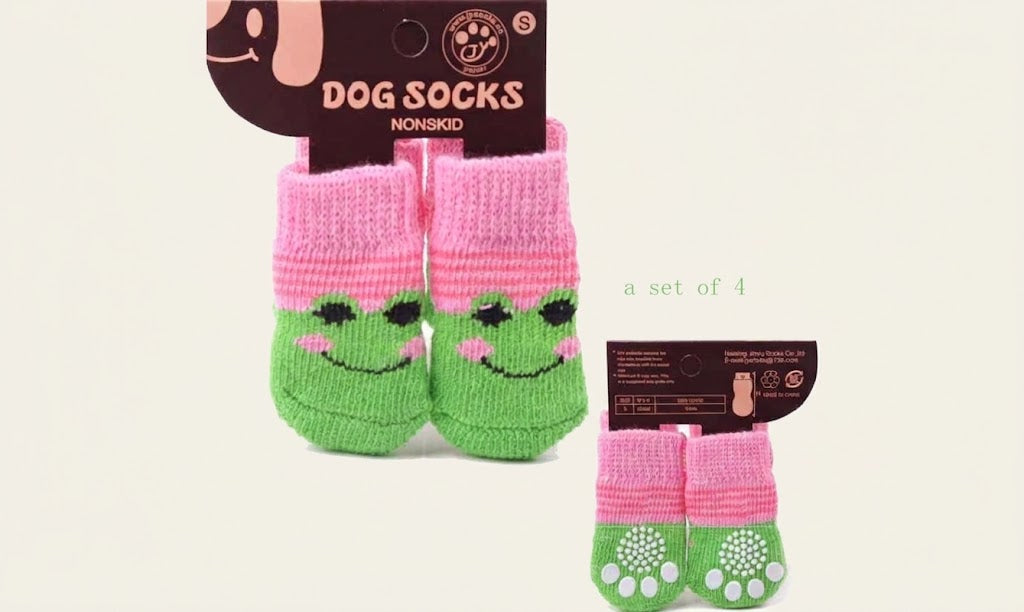 The dog, dog socks
