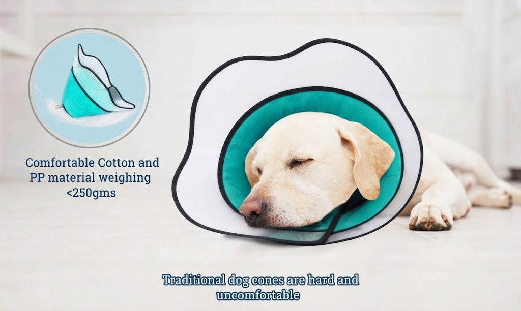 Adjustable Elizabethan Post-Operative Collar