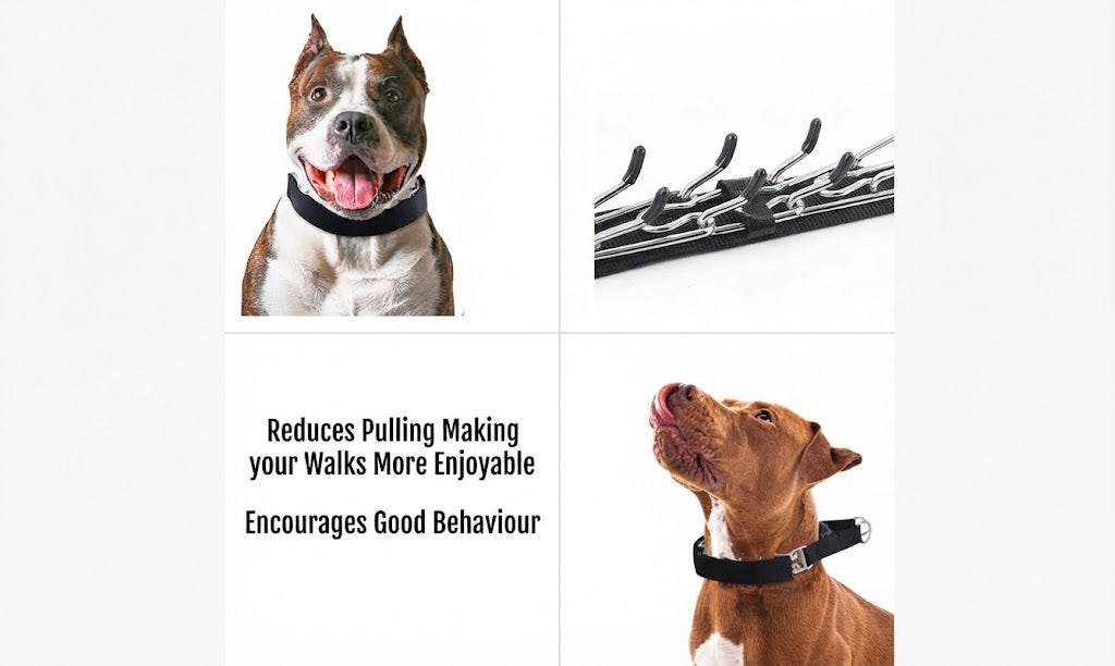 Training Prong Collar With Protective Cover