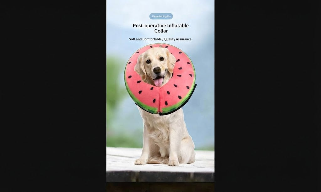 Dog Post-Surgery Anti-Lick Collar