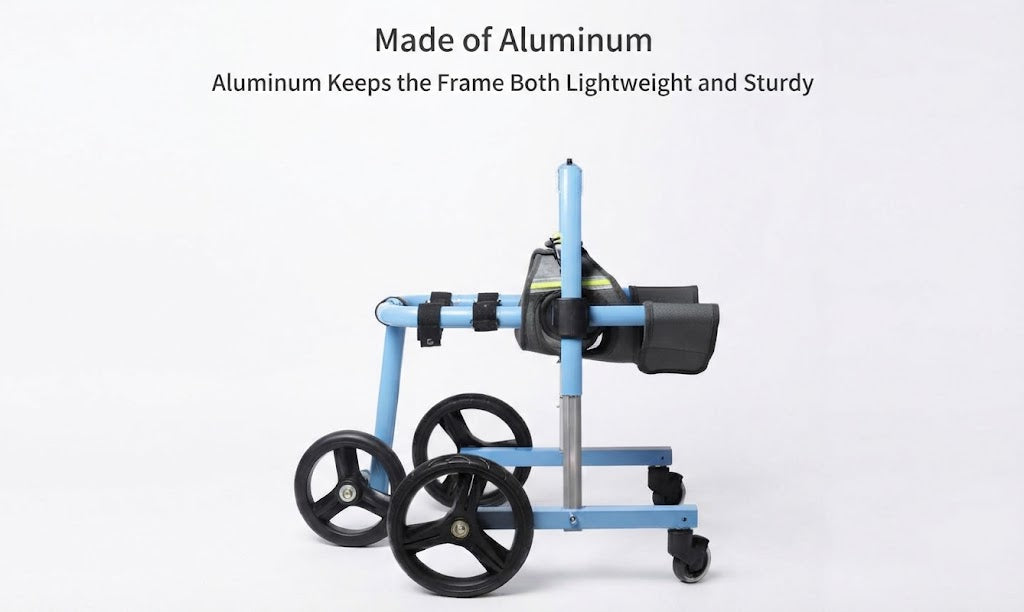 Pet Forelimb Wheelchair For Assisted Mobility