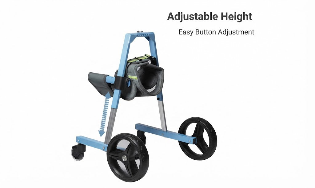 Pet Forelimb Wheelchair For Assisted Mobility