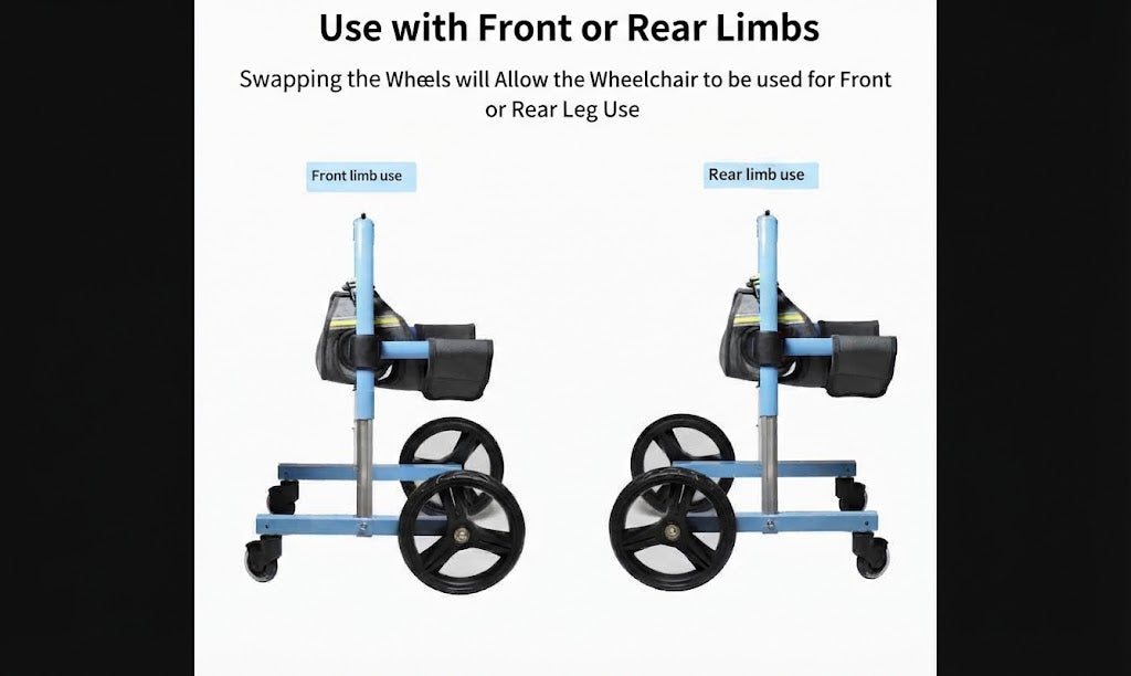Pet Forelimb Wheelchair For Assisted Mobility