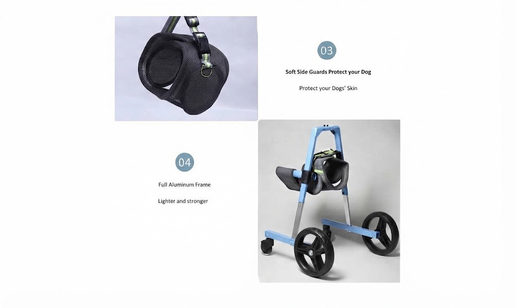 Pet Forelimb Wheelchair For Assisted Mobility