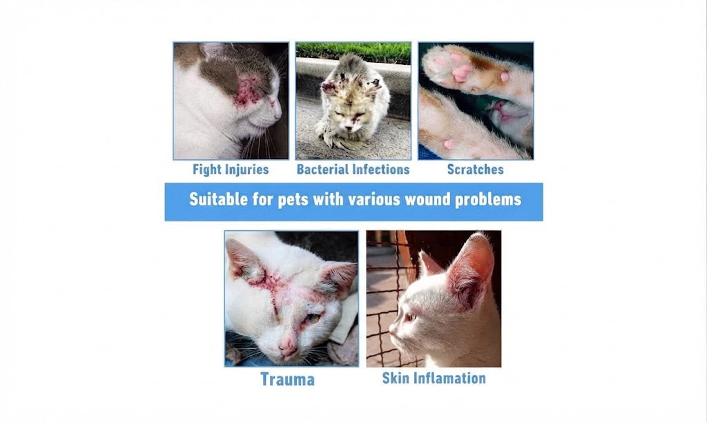 Anti-Bacterial Wound Care Spray For Skin Relief